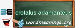 WordMeaning blackboard for crotalus adamanteus